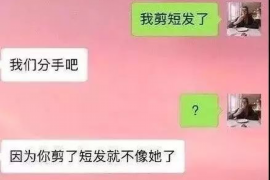 南城企业清欠服务